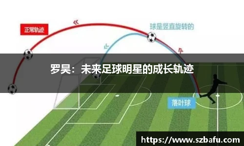 平博官方网站